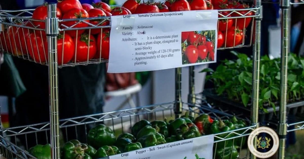 Ghana : une leçon de souveraineté alimentaire pour l'Afrique