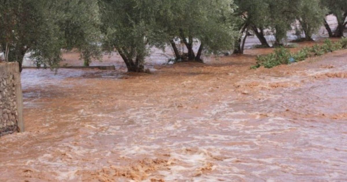 Maroc: les pluies révèlent la fragilité agricole africaine